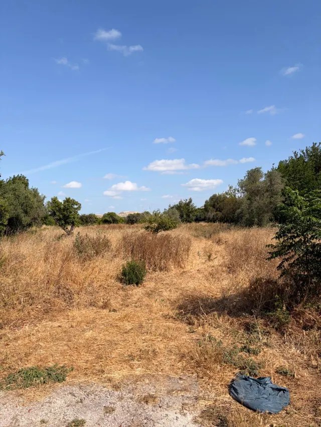 Terreno rústico de 4.300 m2 en un entorno privilegiado de la