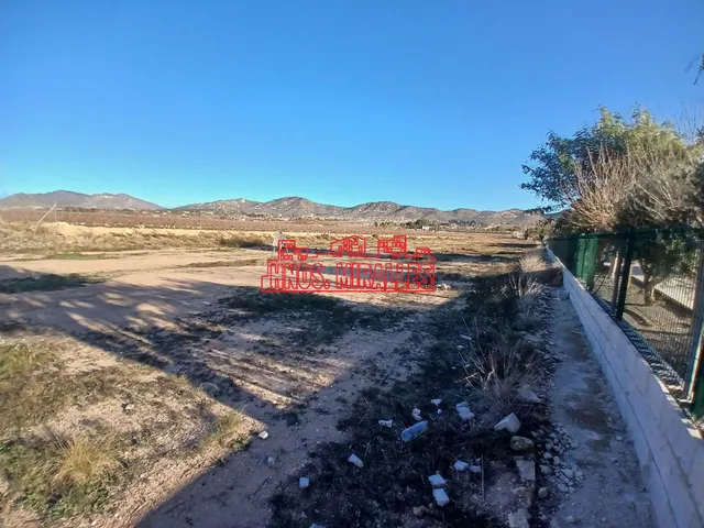 ¡¡ MAGNÍFICA PARCELA EN ASPE, 12.000 m2 !! - foto 2