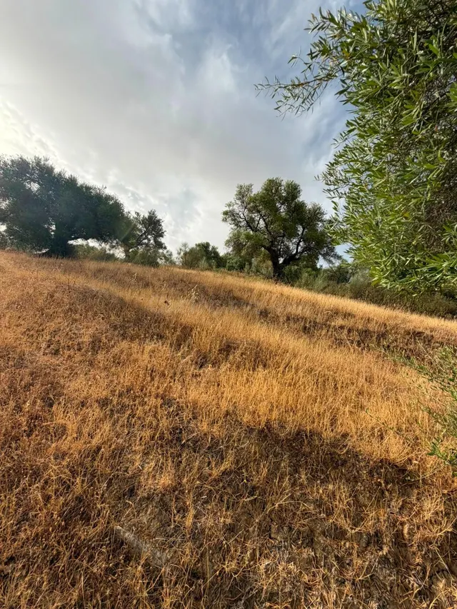 Terreno Rústico de 35 fanegas en FINCA LA SERENA! — 21