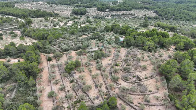 Casa Rústica en El Perelló - Un Refugio Natural con Encanto  - foto 4