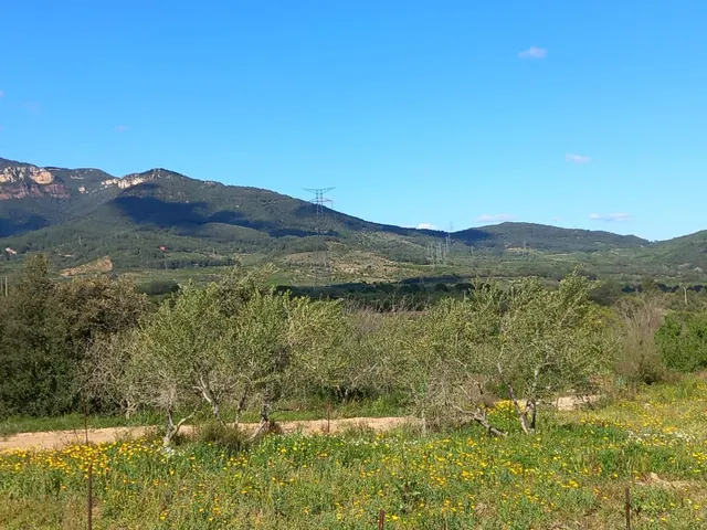 Terreno rural en l'Aleixar — 2