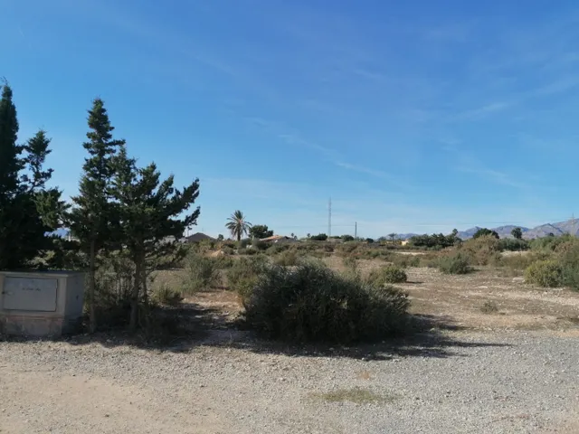 Parcela a 5 km de Elche — 4