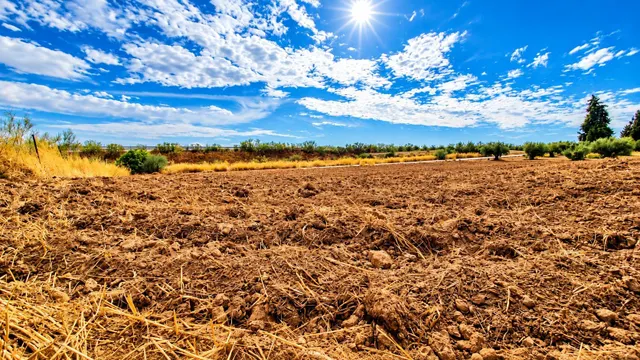 Parcela rústica de 4.824 m2 en Llanos de Moraleda, Moraleda de Zafayona — 8