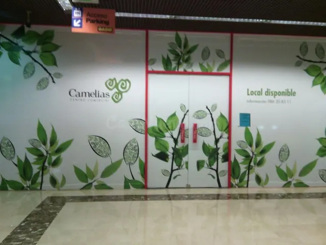 ¡¡ATENCION INVERSORES!! LOCAL COMERCIAL CON ALTA RENATBILIDA - foto 3
