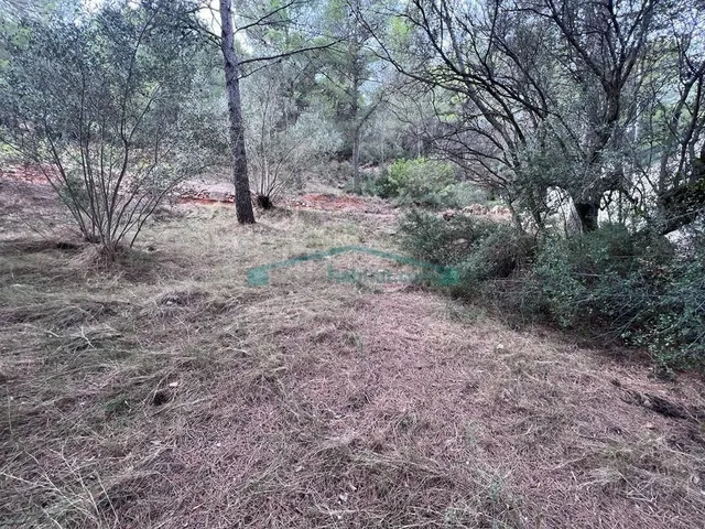 Oportunidad en Serra: parcela urbana de 827 m2 en un entorno