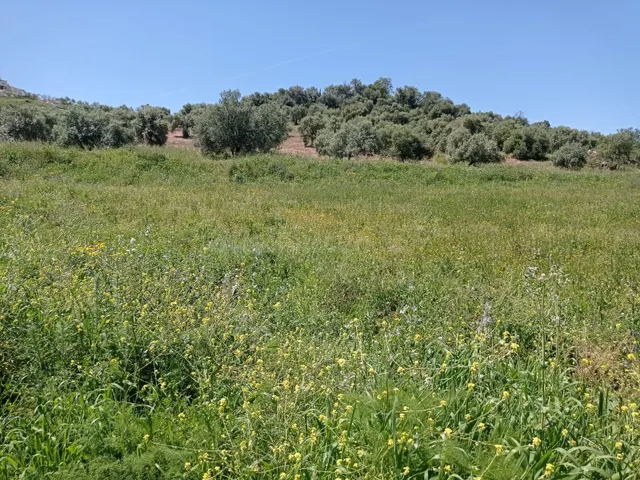 SE VENDE TERRENO EN ZAHARA DE LA SIERRA - foto 2