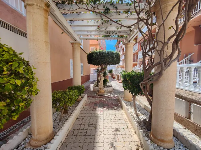 Ático 2 habitaciones 87m² en venta - La Mata pueblo — 48