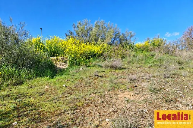 SUELOS RESIDENCIALES EN ARANJUEZ | INVERSIÓN PARA PROMOTORES — 9