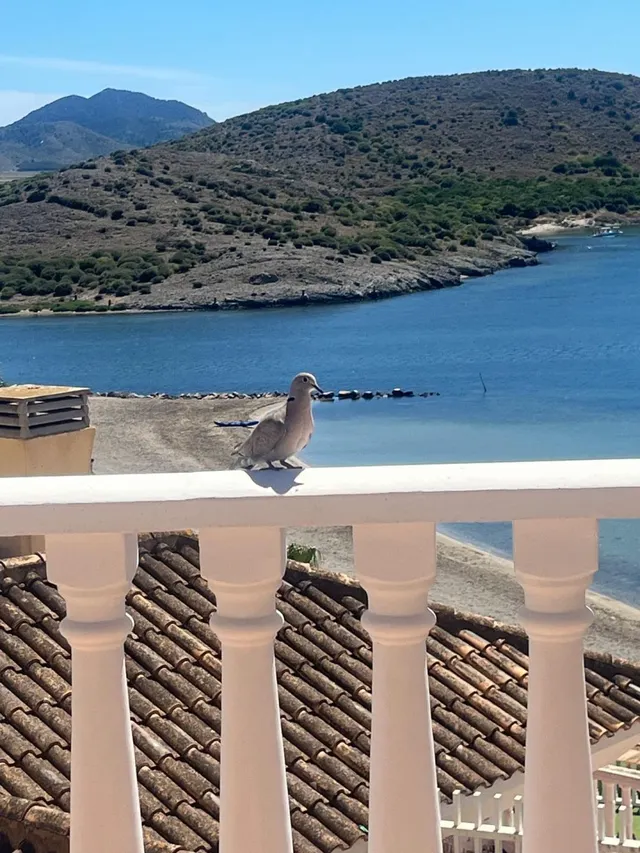 Villa 5 habitaciones 136m² en venta - Cala medina — 11