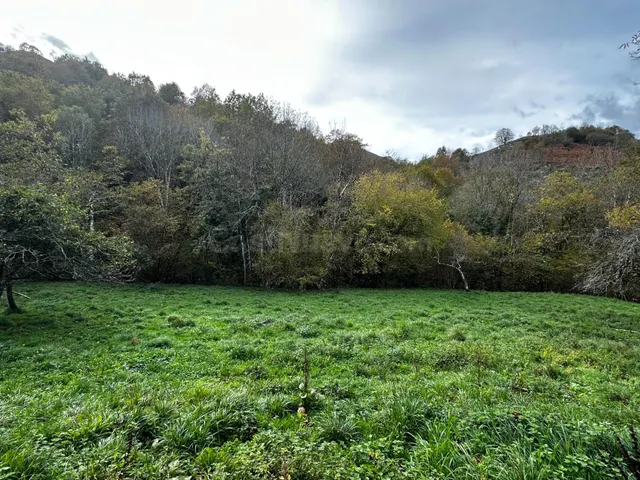 FINCA EDIFICABLE A 3 KM DE CANGAS DE ONIS — 5