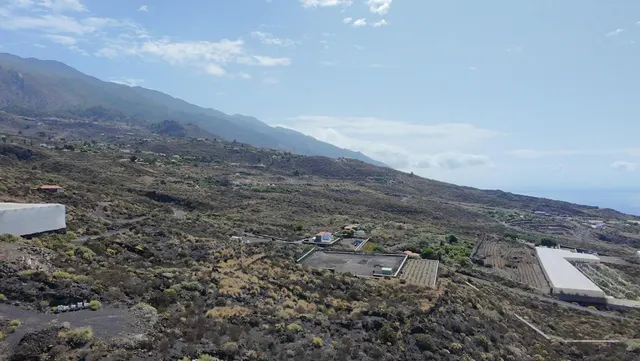 TERRENO RÚSTICO EN LA PALMA — 10
