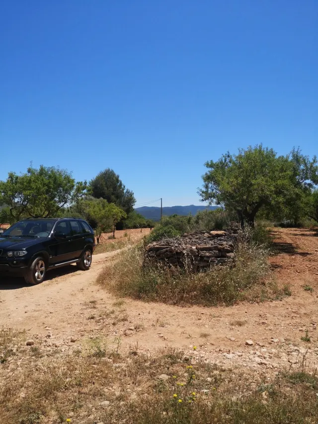 FINCA RUSTICA SECANO — 7