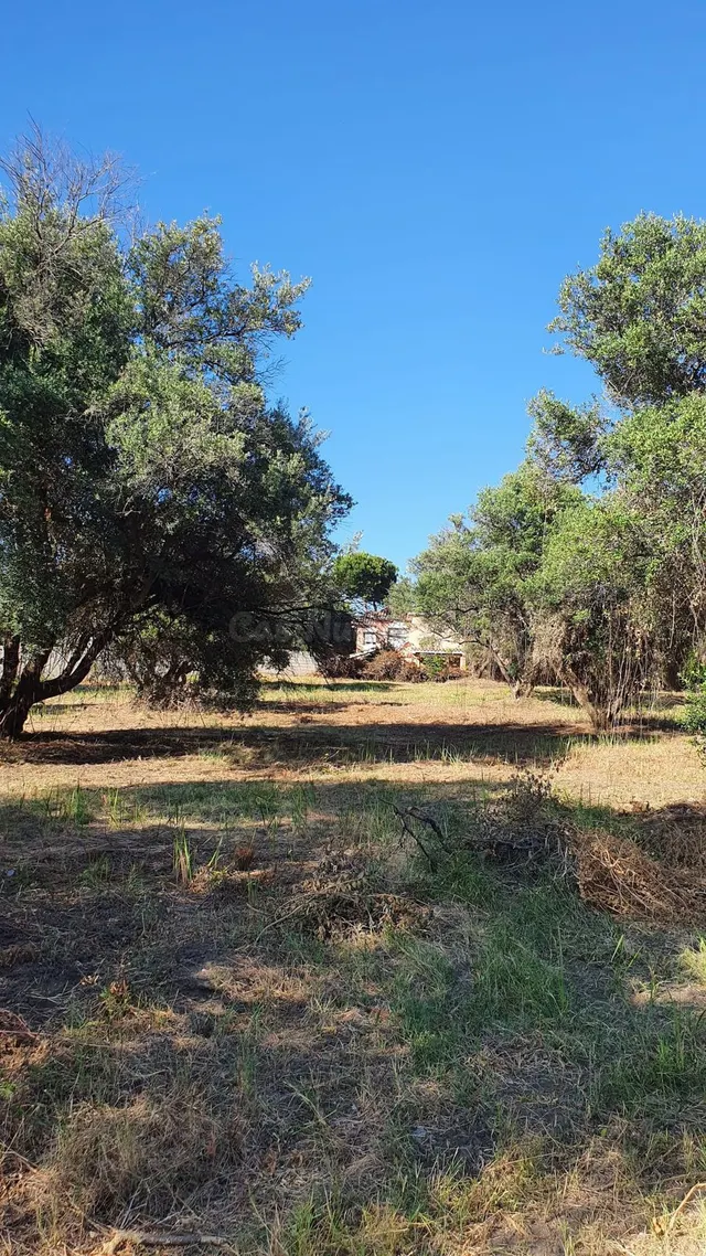 Parcela en venta - Marbella — 4