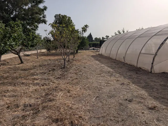 Terreno urbanizable especial en La Era Alta. Murcia — 10