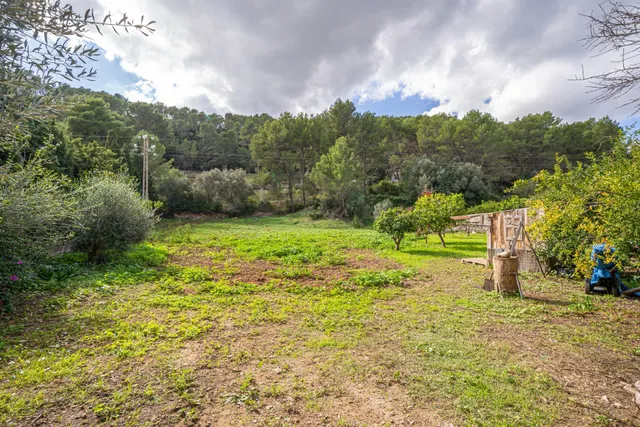 Finca rústica con terreno y casa reformada — 41