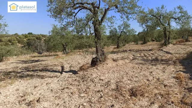 Finca rústica a la venta en Gerena zona camino piedra caball - foto 3