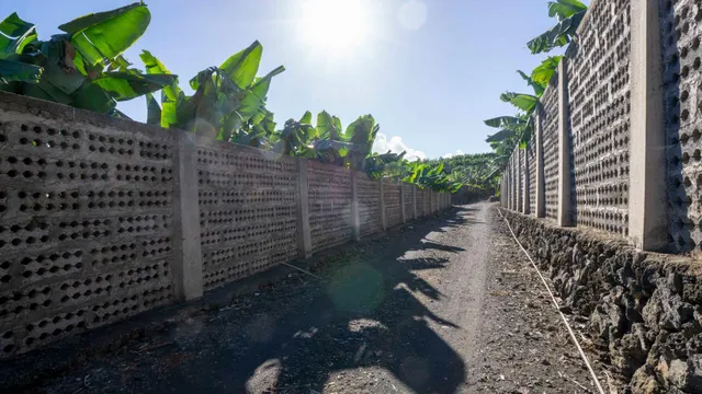 OPORTUNIDAD ÚNICA: GRAN FINCA DE 31.000 M2, secciones URBANA, RÚSTICA, ASENTAMIENTO RURAL Y AGRÍCOLA — 14