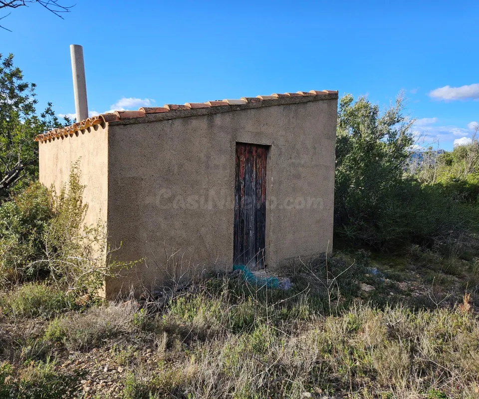 Finca Rústica de 17.689 M2, plana, con caseta de aperos de 25 M2