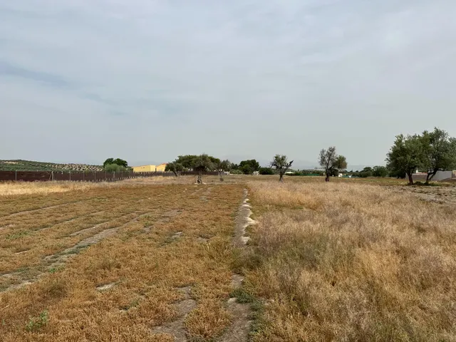 VENTA DE SOLAR INDUSTRIAL EN CHIMENEAS — 27