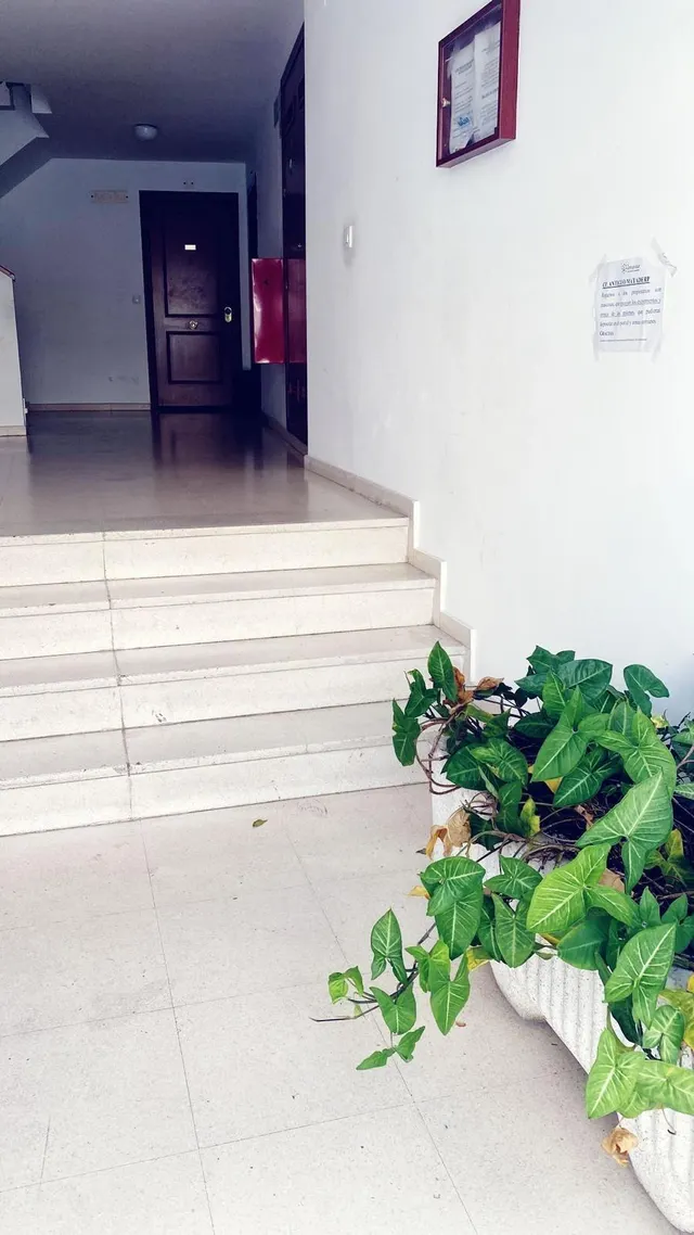 Piso en perecta condiciones para entrar a vivir — 34