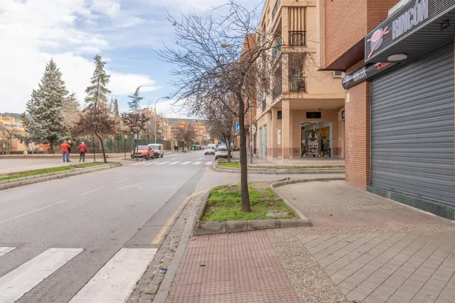 Local Comercial en Venta en Granada - Palacio de Deportes — 30