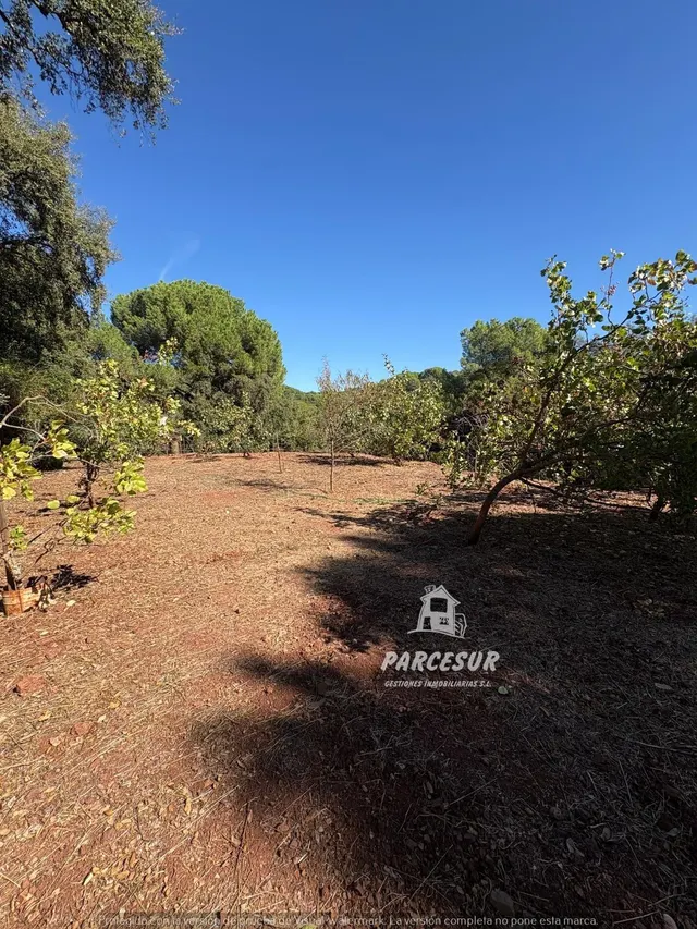 Casa de campo con gran parcela y frutales en Las Siete Fincas. — 27
