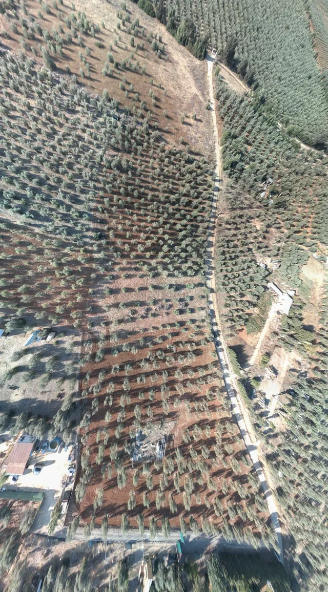 Finca rústica de 16.000 m2 junto a Almensilla. — 14