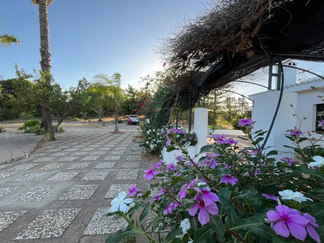 Finca rústica en Ayamonte — 10