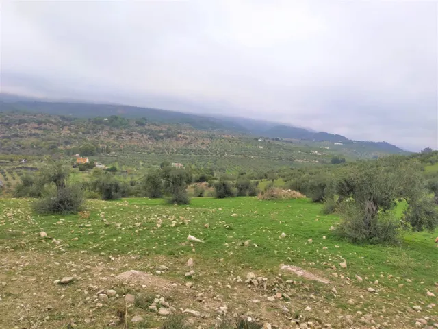 Espectacular finca en la localidad de Alozaina — 16
