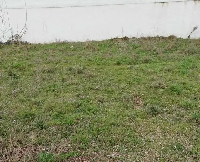 TERRENO URBANO RESIDENCIAL  EN LEON — 5