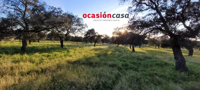 ENCINAR CON NAVE EN VENTA - foto 3