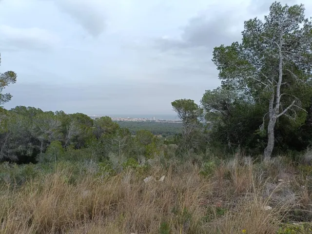 Terreno en urbanización Mas Astor — 8