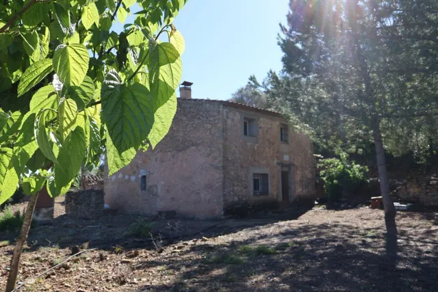 MASIA EN VILAFAMES CON TERRENO — 3