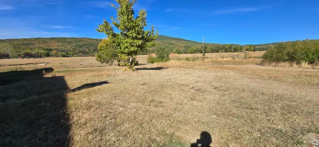 Solar urbano Nº2 en El Royo- Soria. 423 m2 parcela, 300 m2 c - foto 2