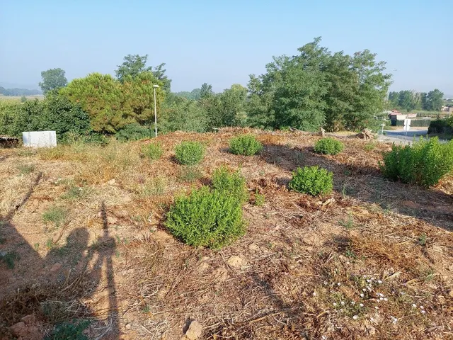 Al cor de Verges 496 m2 — 13