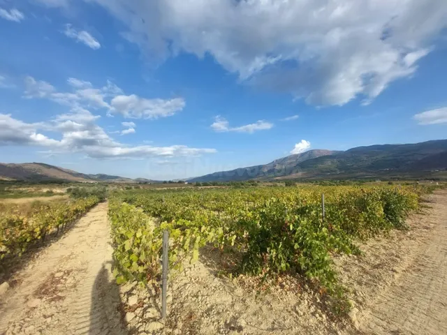 Finca rústica en venta - Laujar de Andarax - foto 3