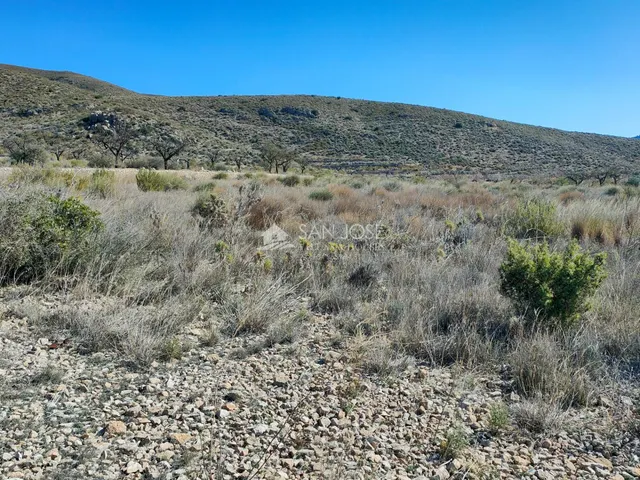 SE VENDE PARCELA EN LA SOLANA DE HONDON DE LOS FRAILES — 3