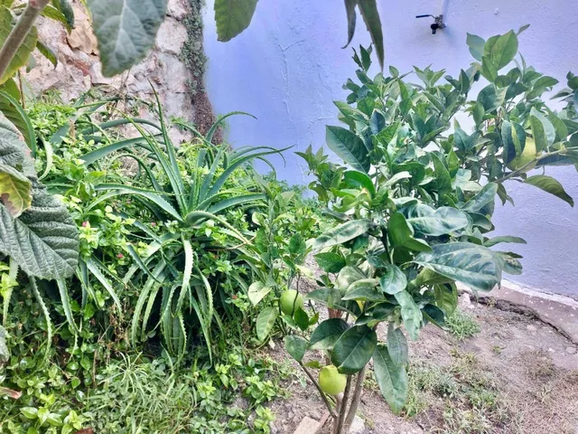 Casa en venta — 17