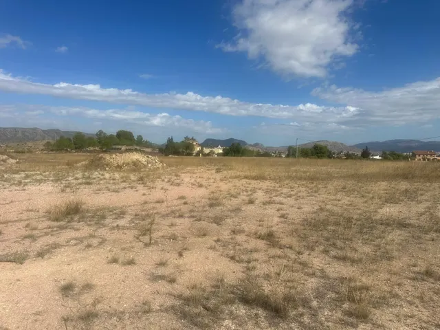 Terreno Rural Agrario de 13.000 m2 en Beties – Monóvar — 15