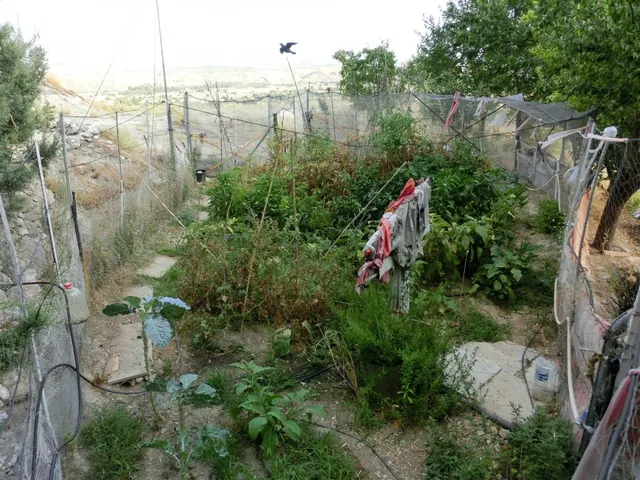 FINCA EN URBANIZACION VALGRANDE — 29