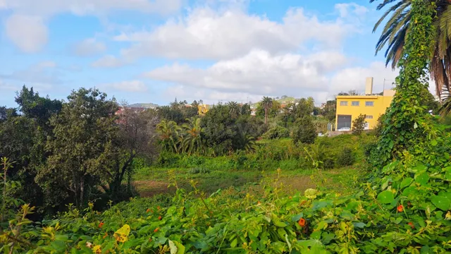 TERRENO URBANO EN TACORONTE - foto 4