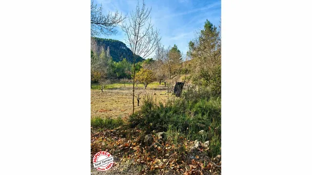 El rincón que buscabas en las Montañas de Prades: 3 fincas a - foto 2