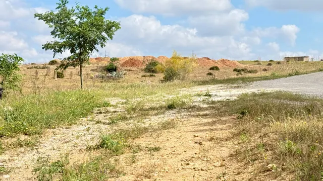 OPORTUNIDAD REAL – 2.000 m2 DE SUELO RÚSTICO CON FUTURO - foto 4