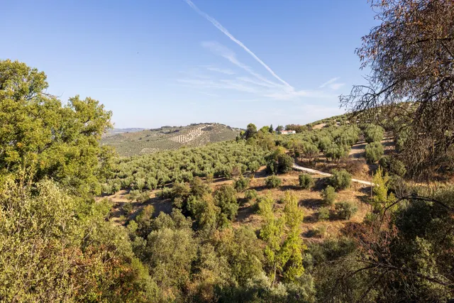 En uno de los pueblos más bonitos de España, finca ideal para rehabilitar y usar como alojamiento turístico — 28