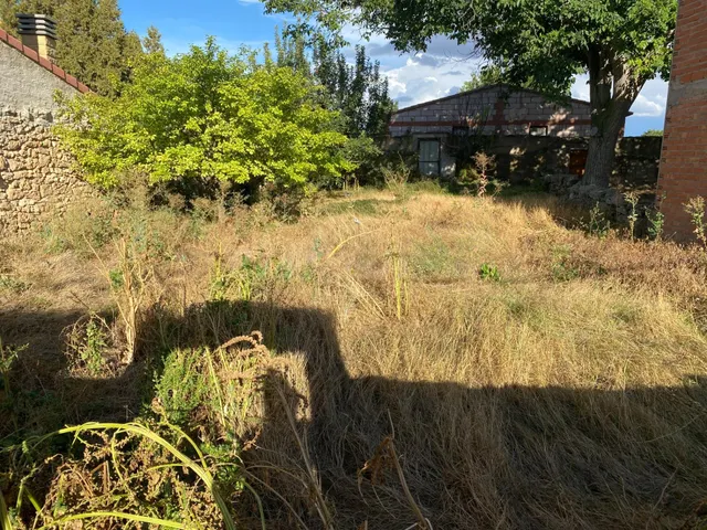 SE VENDE SOLAR EN FUENTES CLARAS - foto 2