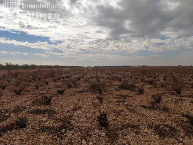 Se vende finca de 12 hectareas de riego de pozo en la zona d - foto 4