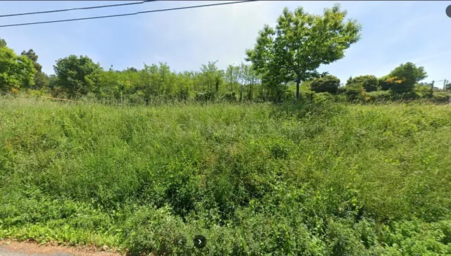 TERRENO EN VENTA EN MOURENTE - foto 2