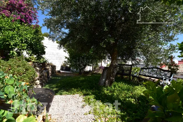 AMPLIA CASA CON BARBACOA, TRASTERO, PISCINA Y JARDÍN - foto 2