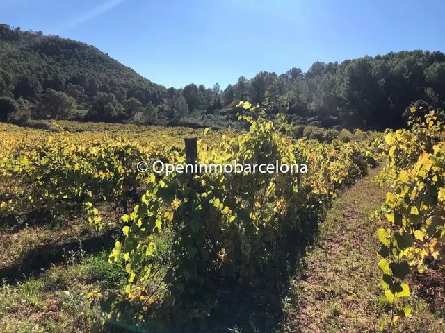 MASIA CATALANA CON GRAN PARCELA DE 3386 METRO EN TORRELLES D - foto 4