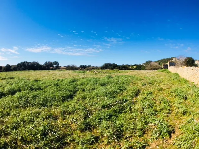 C-7035 - Casa de campo en Son Bou — 4